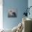 Did You Call Me Blue Merle Shetland Sheepdog-Jai Johnson-Framed Premier Image Canvas displayed on a wall
