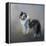 Did You Call Me Blue Merle Shetland Sheepdog-Jai Johnson-Framed Premier Image Canvas