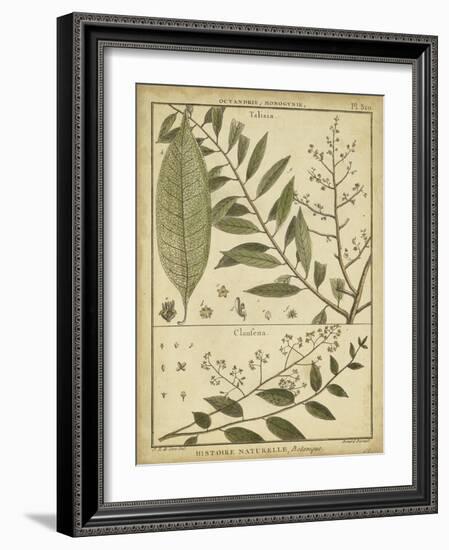 Diderot Antique Ferns I-Daniel Diderot-Framed Art Print