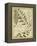 Diderot Antique Ferns I-Daniel Diderot-Framed Stretched Canvas