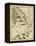 Diderot Antique Ferns I-Daniel Diderot-Framed Stretched Canvas