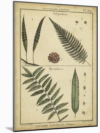 Diderot Antique Ferns III-Daniel Diderot-Mounted Art Print