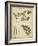 Diderot Antique Ferns IV-Daniel Diderot-Framed Art Print