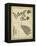 Diderot Antique Ferns IV-Daniel Diderot-Framed Stretched Canvas