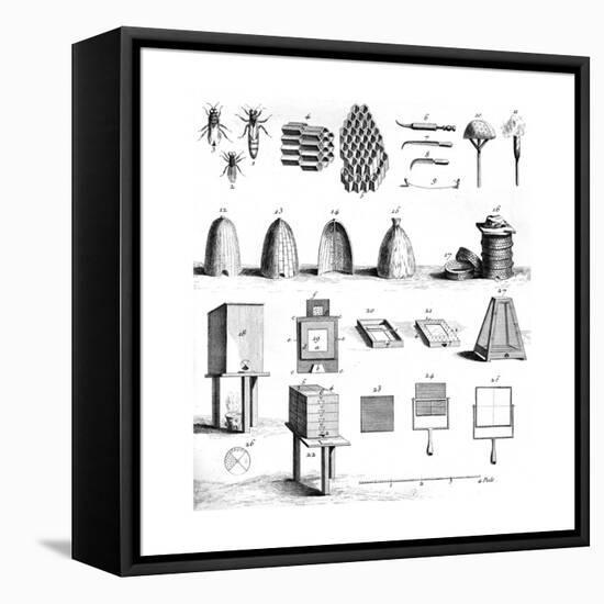 Diderot Hives-null-Framed Premier Image Canvas