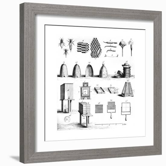 Diderot Hives-null-Framed Giclee Print