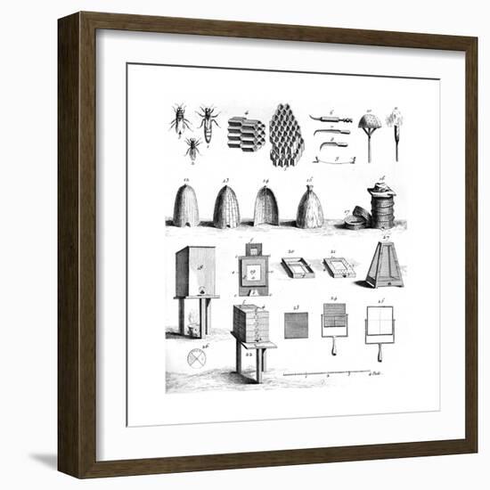 Diderot Hives-null-Framed Giclee Print