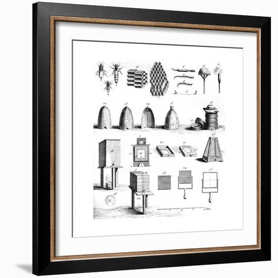 Diderot Hives-null-Framed Giclee Print