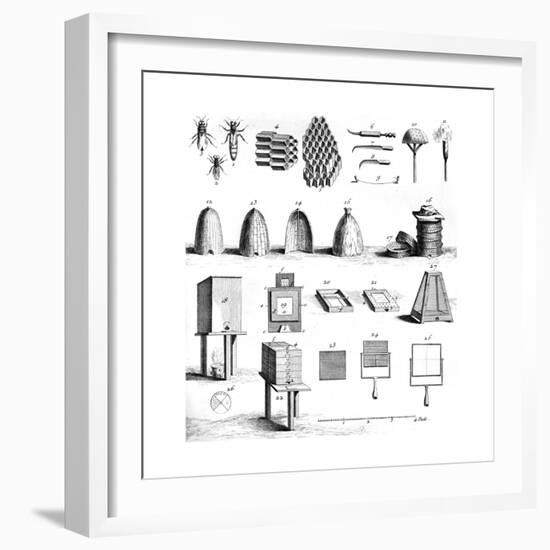 Diderot Hives-null-Framed Giclee Print