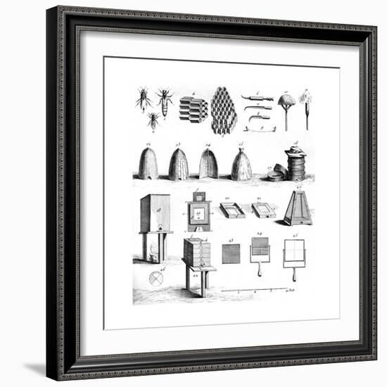 Diderot Hives-null-Framed Giclee Print