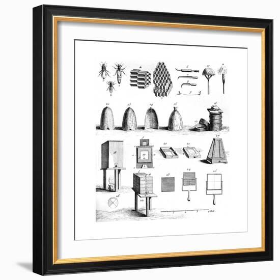 Diderot Hives-null-Framed Giclee Print