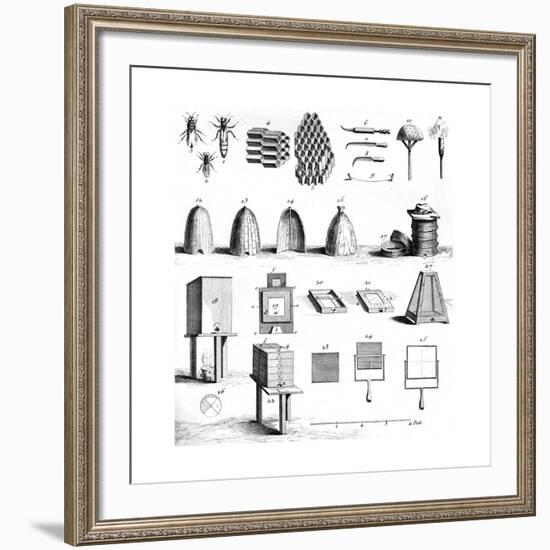 Diderot Hives-null-Framed Giclee Print