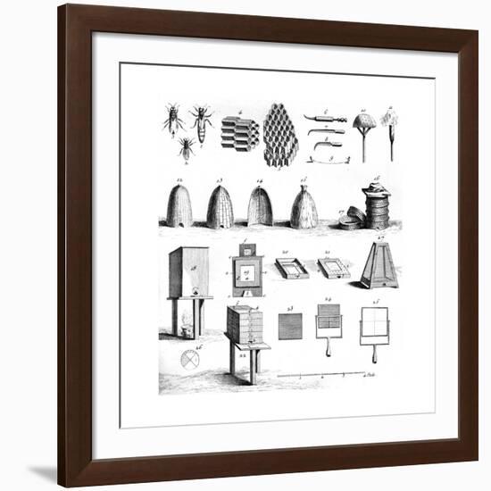 Diderot Hives-null-Framed Giclee Print