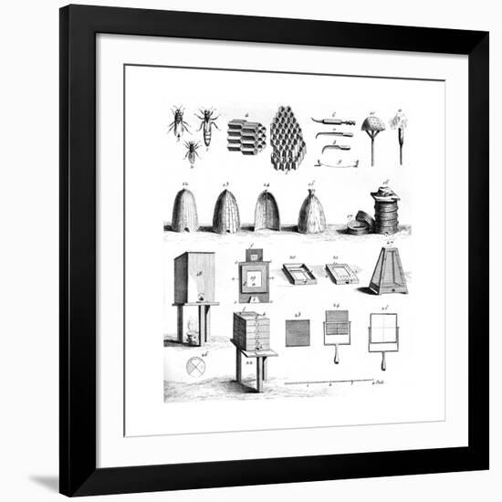 Diderot Hives-null-Framed Giclee Print