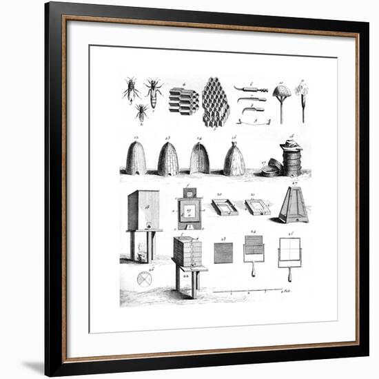 Diderot Hives-null-Framed Giclee Print