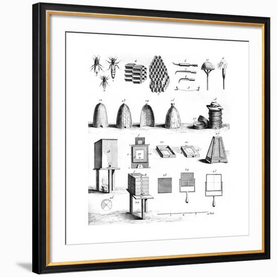 Diderot Hives-null-Framed Giclee Print