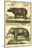 Diderot's Elephant and Rhino-Denis Diderot-Mounted Art Print