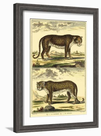 Diderot's Panther and Leopard-Denis Diderot-Framed Art Print