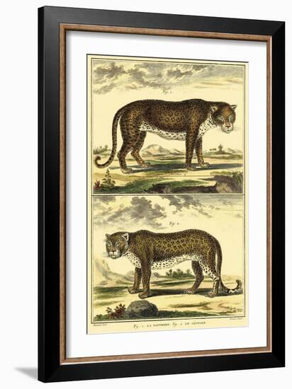 Diderot's Panther and Leopard-Denis Diderot-Framed Art Print