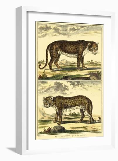 Diderot's Panther and Leopard-Denis Diderot-Framed Art Print