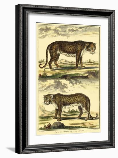 Diderot's Panther and Leopard-Denis Diderot-Framed Art Print