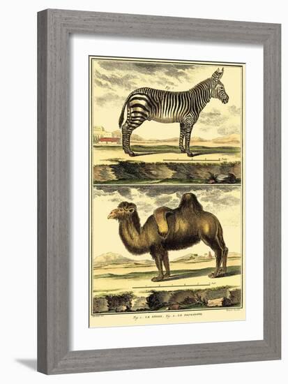 Diderot's Zebra and Camel-Denis Diderot-Framed Art Print