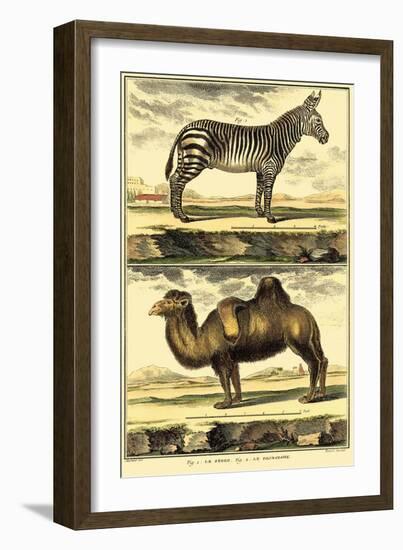 Diderot's Zebra and Camel-Denis Diderot-Framed Art Print