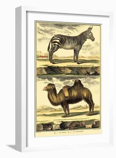 Diderot's Zebra and Camel-Denis Diderot-Framed Art Print