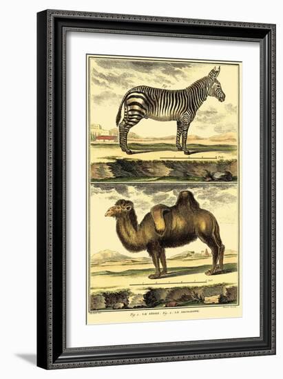 Diderot's Zebra and Camel-Denis Diderot-Framed Art Print