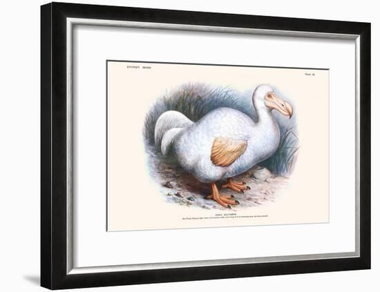 Didus Solitarius Dodo-Lionel Walter Rothschild-Framed Art Print