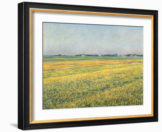 Die Ebene um Gennevilliers, Gelbe Felder (La plaine de Gennevilliers, champs jaunes). 1884-Gustave Caillebotte-Framed Giclee Print