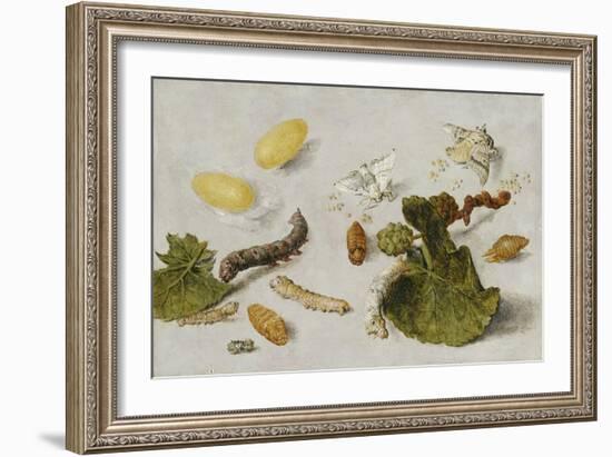 Die Verwandlung der Seidenraupe-Jan van Kessel-Framed Giclee Print