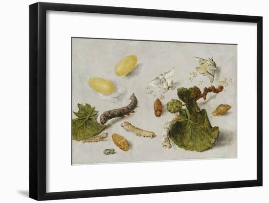 Die Verwandlung der Seidenraupe-Jan van Kessel-Framed Giclee Print