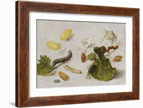 Die Verwandlung der Seidenraupe-Jan van Kessel-Framed Giclee Print