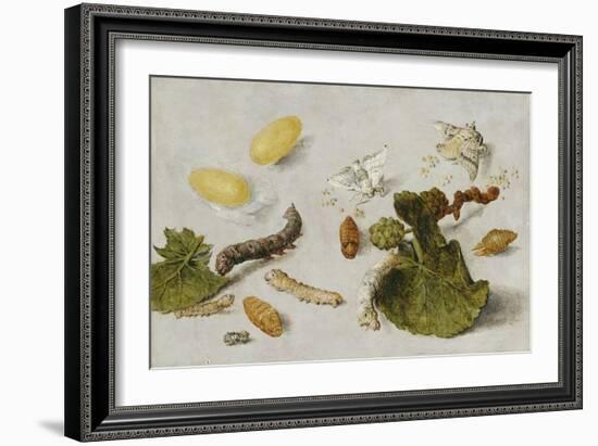 Die Verwandlung der Seidenraupe-Jan van Kessel-Framed Giclee Print