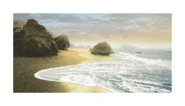 Bodega Beach 1-Diego Ceja-Framed Giclee Print