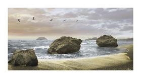 Bodega Beach 1-Diego Ceja-Framed Giclee Print