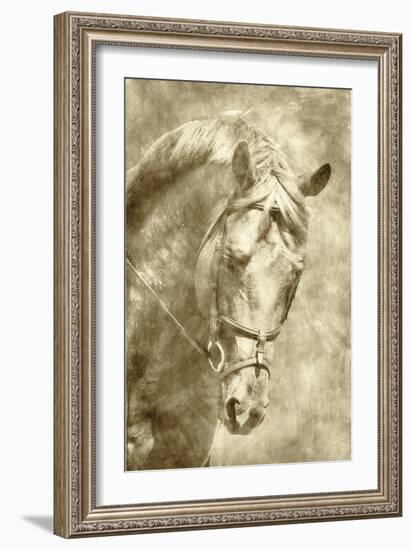 Diego I-Alan Hausenflock-Framed Art Print