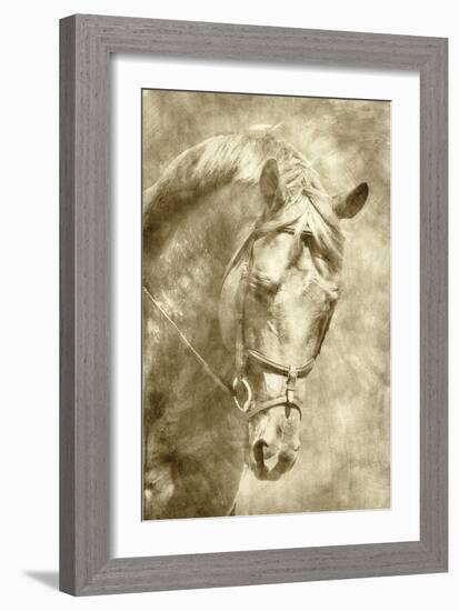 Diego I-Alan Hausenflock-Framed Art Print