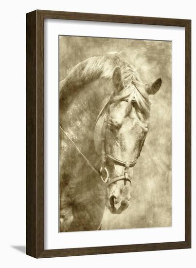 Diego I-Alan Hausenflock-Framed Art Print