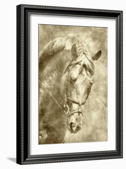 Diego I-Alan Hausenflock-Framed Art Print