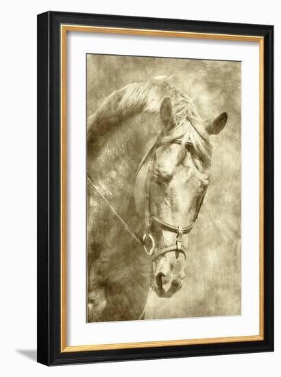 Diego I-Alan Hausenflock-Framed Art Print