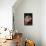Diego Velazquez: Mars-Diego Velazquez-Framed Premier Image Canvas displayed on a wall
