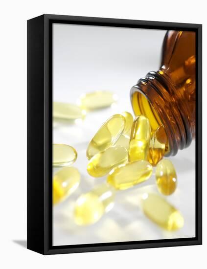 Dietary Supplements-Tek Image-Framed Premier Image Canvas