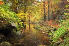 Autumn Mood, Autumnal Colouring, Ilsetal, National Park, Harz, Near Ilsenburg-Dieter Meyrl-Framed Photographic Print