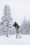 Switzerland, Canton St. Gallen, Amden, Mountaineer, Backpack, Valley View-Dietmar Walser-Photographic Print