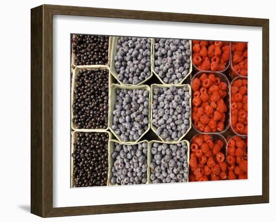 Different Berries at the Outdoor Market, Stockholm, Sweden-Nancy & Steve Ross-Framed Photographic Print