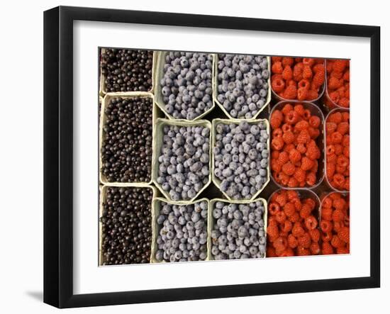 Different Berries at the Outdoor Market, Stockholm, Sweden-Nancy & Steve Ross-Framed Photographic Print