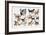 Different Breeds of Dogs-null-Framed Giclee Print