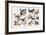 Different Breeds of Dogs-null-Framed Giclee Print